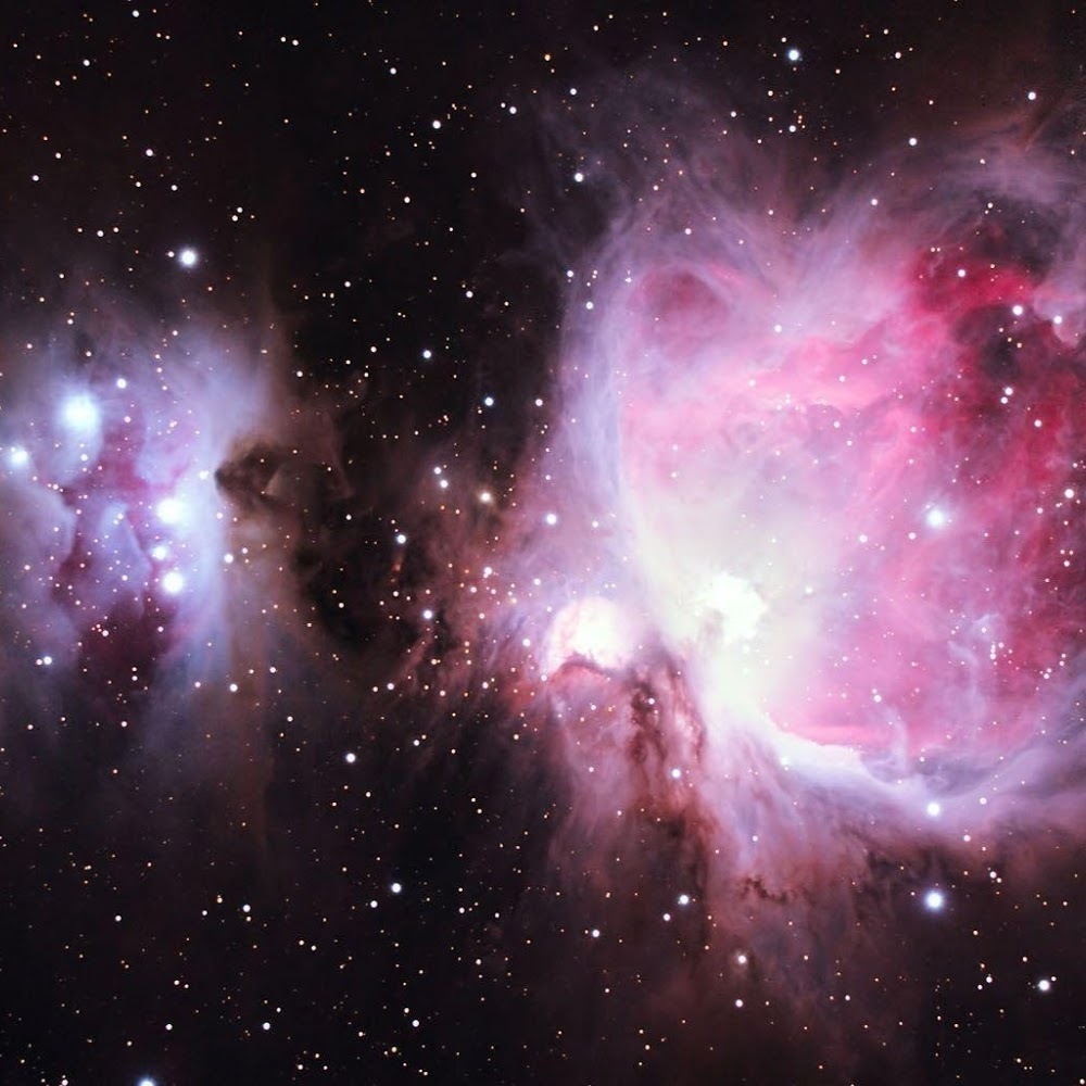 Meet your Posher, Jolynn